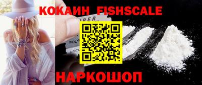 индика Кингисепп
