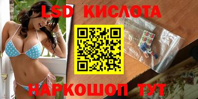 индика Кингисепп