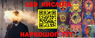 индика Кингисепп