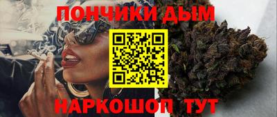 индика Кингисепп