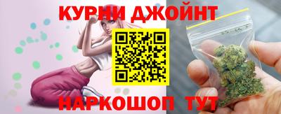 индика Кингисепп