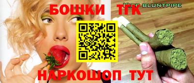 индика Кингисепп