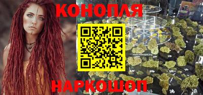 индика Кингисепп