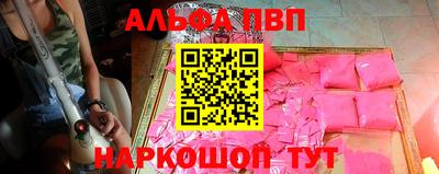 индика Кингисепп