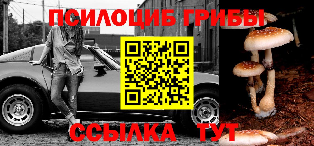 Галлюциногенные грибы мухоморы  Вход с VPN  Уссурийск 